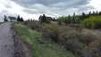 Pocatello Real Estate - MLS #583663 - Photograph #12