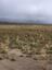 Pocatello Real Estate - MLS #583669 - Photograph #2