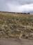 Pocatello Real Estate - MLS #583669 - Photograph #3