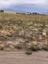Pocatello Real Estate - MLS #583669 - Photograph #4