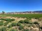Pocatello Real Estate - MLS #583784 - Photograph #28