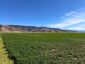 Pocatello Real Estate - MLS #583784 - Photograph #3