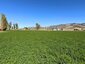 Pocatello Real Estate - MLS #583784 - Photograph #7