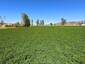 Pocatello Real Estate - MLS #583784 - Photograph #8
