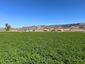 Pocatello Real Estate - MLS #583784 - Photograph #9