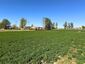 Pocatello Real Estate - MLS #583784 - Photograph #11