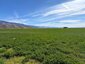 Pocatello Real Estate - MLS #583784 - Photograph #18