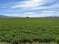 Pocatello Real Estate - MLS #583784 - Photograph #19