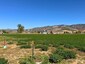 Pocatello Real Estate - MLS #583784 - Photograph #23
