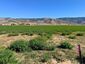 Pocatello Real Estate - MLS #583784 - Photograph #25