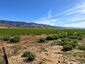 Pocatello Real Estate - MLS #583784 - Photograph #26