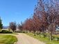 Pocatello Real Estate - MLS #583800 - Photograph #5