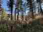 Pocatello Real Estate - MLS #583808 - Photograph #3