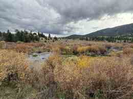 Bancroft Idaho Real Estate
