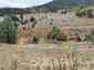 Pocatello Real Estate - MLS #583812 - Photograph #2