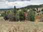 Pocatello Real Estate - MLS #583812 - Photograph #7