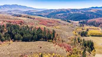 Pocatello Idaho Real Estate