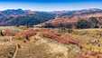 Pocatello Real Estate - MLS #583818 - Photograph #10