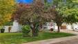 Pocatello Real Estate - MLS #583838 - Photograph #2