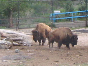 Exterior photograph of the Zoo Idaho in Pocatello, Idaho